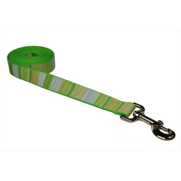 Flyfree STRIPE-GREEN-MULTI3-L 6 ft. Multi Stripe Dog LeashGreen Medium FL685348